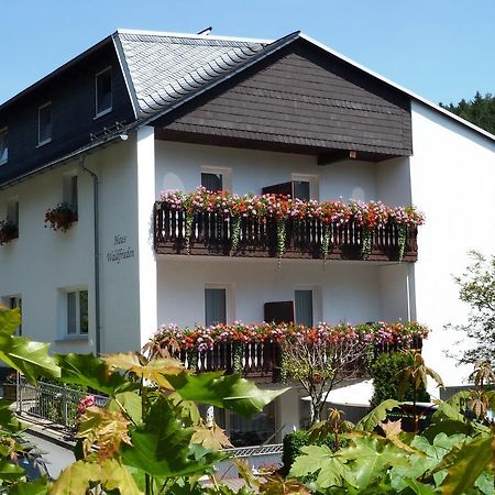 Pension Haus Waldfrieden, Meinecardplus Inklusive Willingen  Bagian luar foto