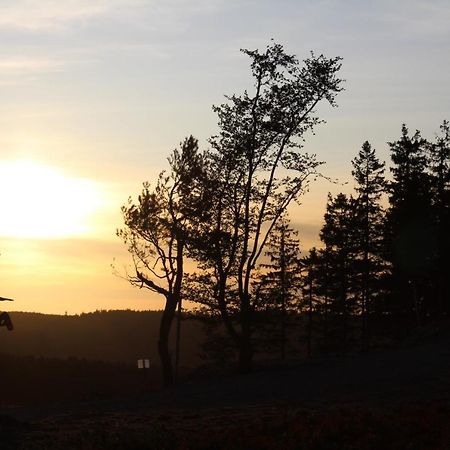 Pension Haus Waldfrieden, Meinecardplus Inklusive Willingen  Bagian luar foto