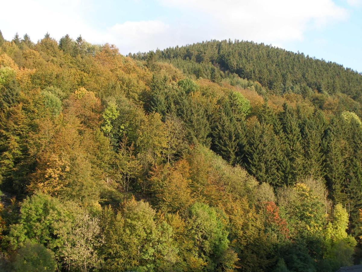 Pension Haus Waldfrieden, Meinecardplus Inklusive Willingen  Ruang foto