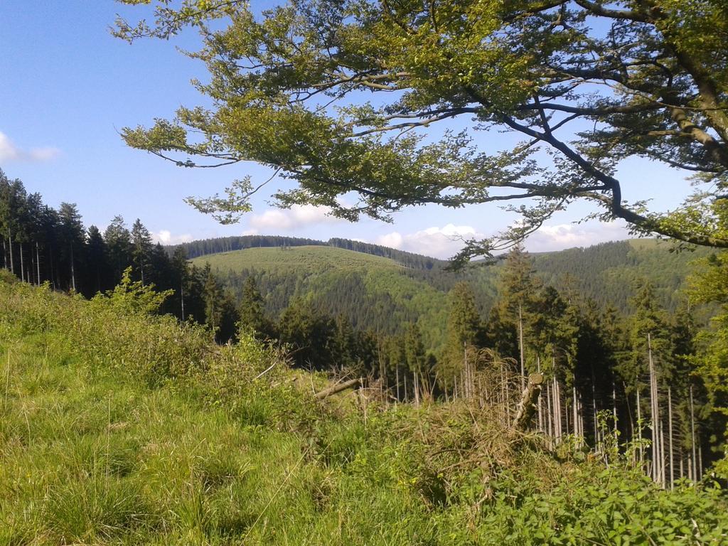Pension Haus Waldfrieden, Meinecardplus Inklusive Willingen  Bagian luar foto