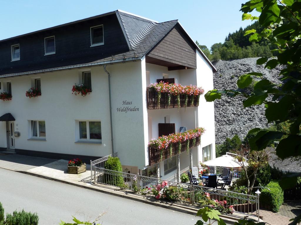 Pension Haus Waldfrieden, Meinecardplus Inklusive Willingen  Bagian luar foto