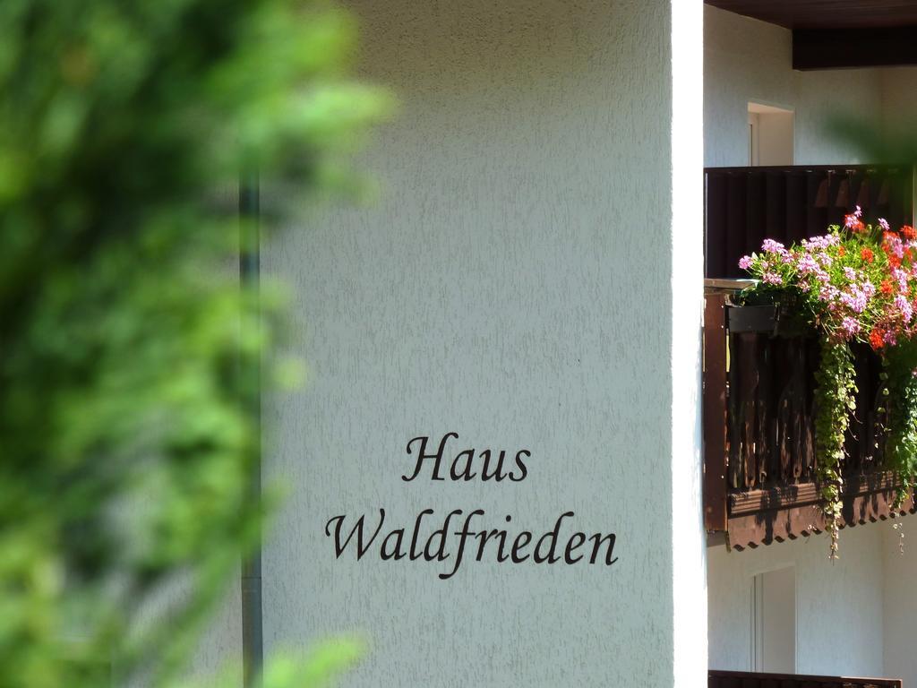 Pension Haus Waldfrieden, Meinecardplus Inklusive Willingen  Bagian luar foto