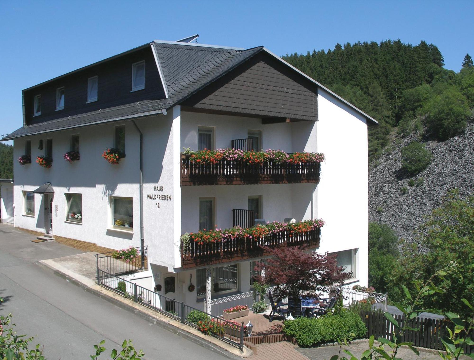 Pension Haus Waldfrieden, Meinecardplus Inklusive Willingen  Bagian luar foto