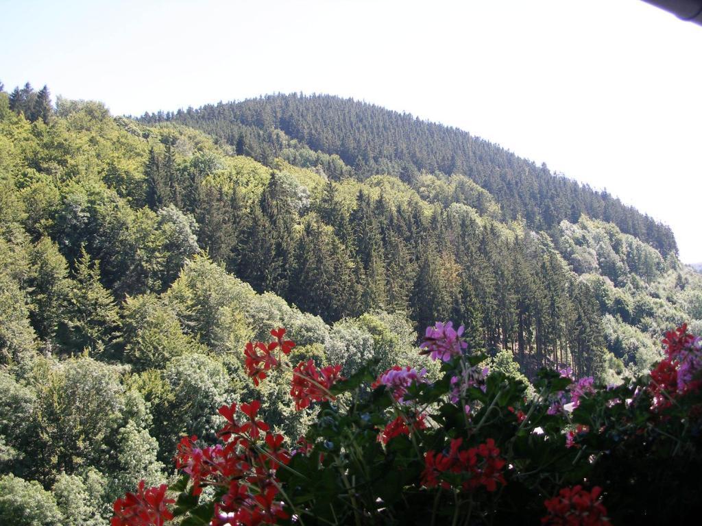 Pension Haus Waldfrieden, Meinecardplus Inklusive Willingen  Bagian luar foto