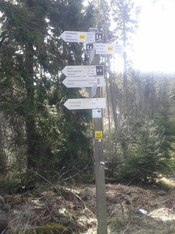 Pension Haus Waldfrieden, Meinecardplus Inklusive Willingen  Bagian luar foto