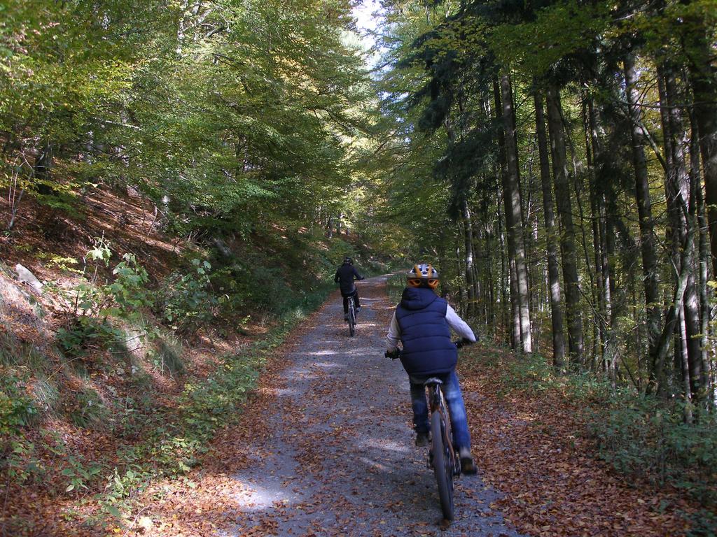 Pension Haus Waldfrieden, Meinecardplus Inklusive Willingen  Bagian luar foto