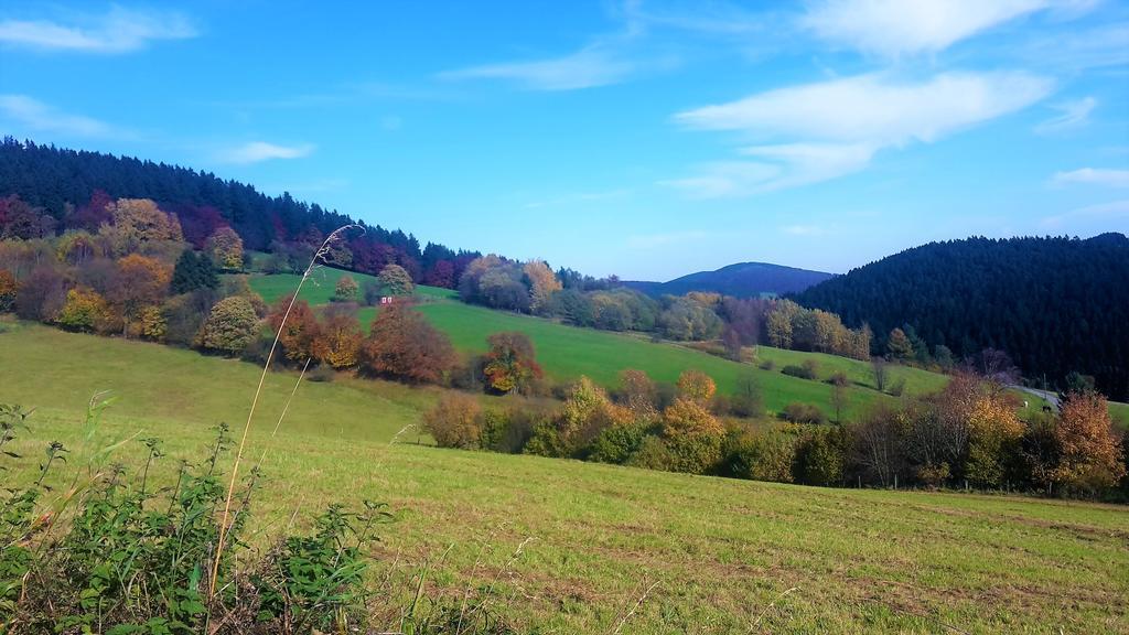 Pension Haus Waldfrieden, Meinecardplus Inklusive Willingen  Bagian luar foto