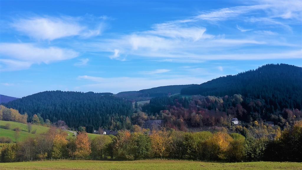 Pension Haus Waldfrieden, Meinecardplus Inklusive Willingen  Bagian luar foto