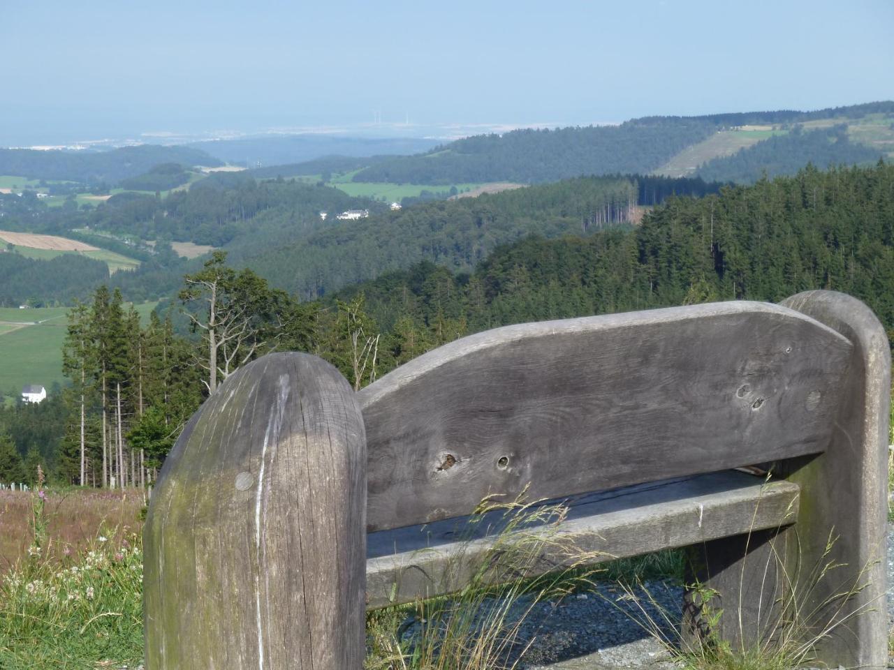 Pension Haus Waldfrieden, Meinecardplus Inklusive Willingen  Bagian luar foto