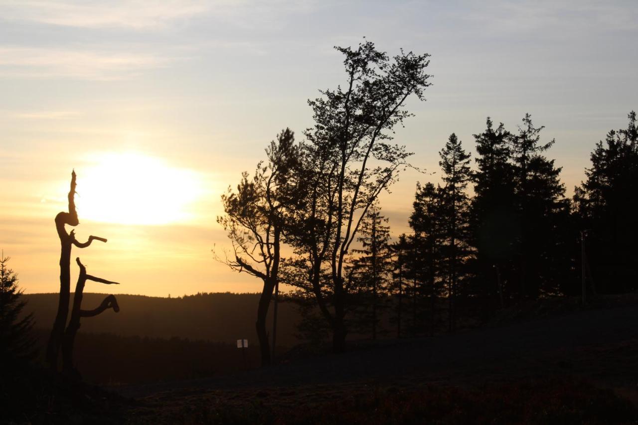 Pension Haus Waldfrieden, Meinecardplus Inklusive Willingen  Bagian luar foto