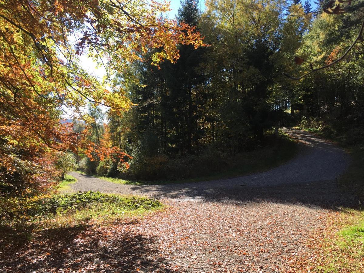Pension Haus Waldfrieden, Meinecardplus Inklusive Willingen  Bagian luar foto